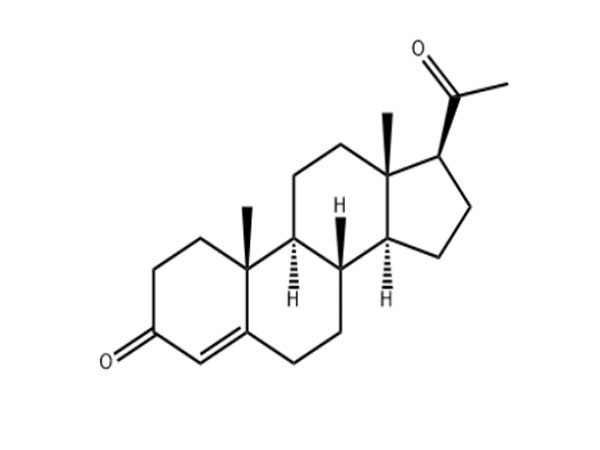 Progesterone function
