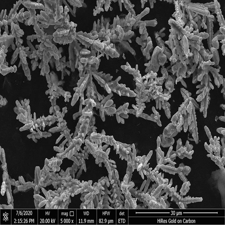 Unraveling the Structural Characteristics of Dendritic Silver-coated Copper Powder