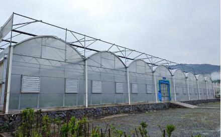 How to Choose the Right Multispan Plastic Film Greenhouse for Your Farm