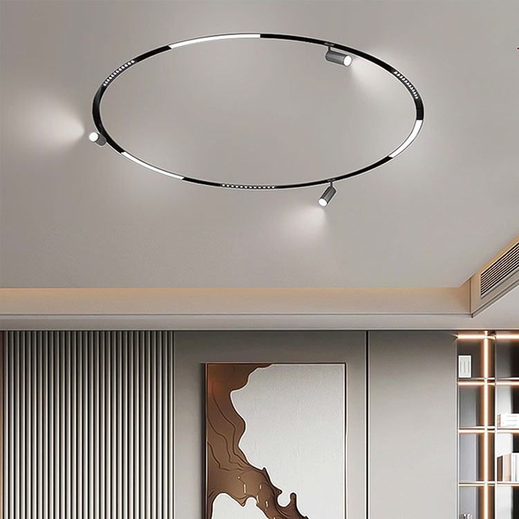 How to Choose and Install Round Magnetic Track Lights