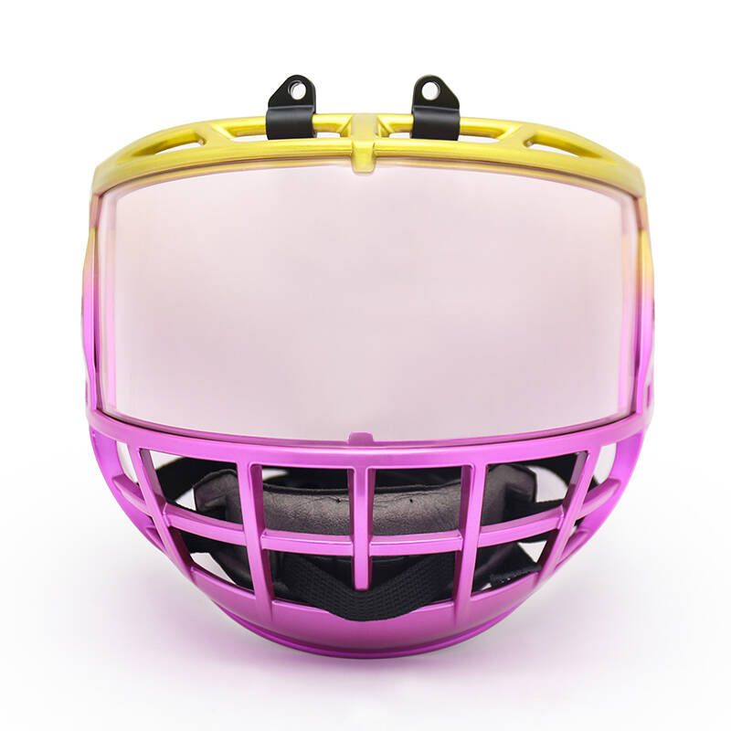 Protection Meets Style: The VioYell Ice Hockey Mask for Youth