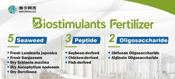 China Biostimulant Supplier Insights: Advancing Crop Health and Yield