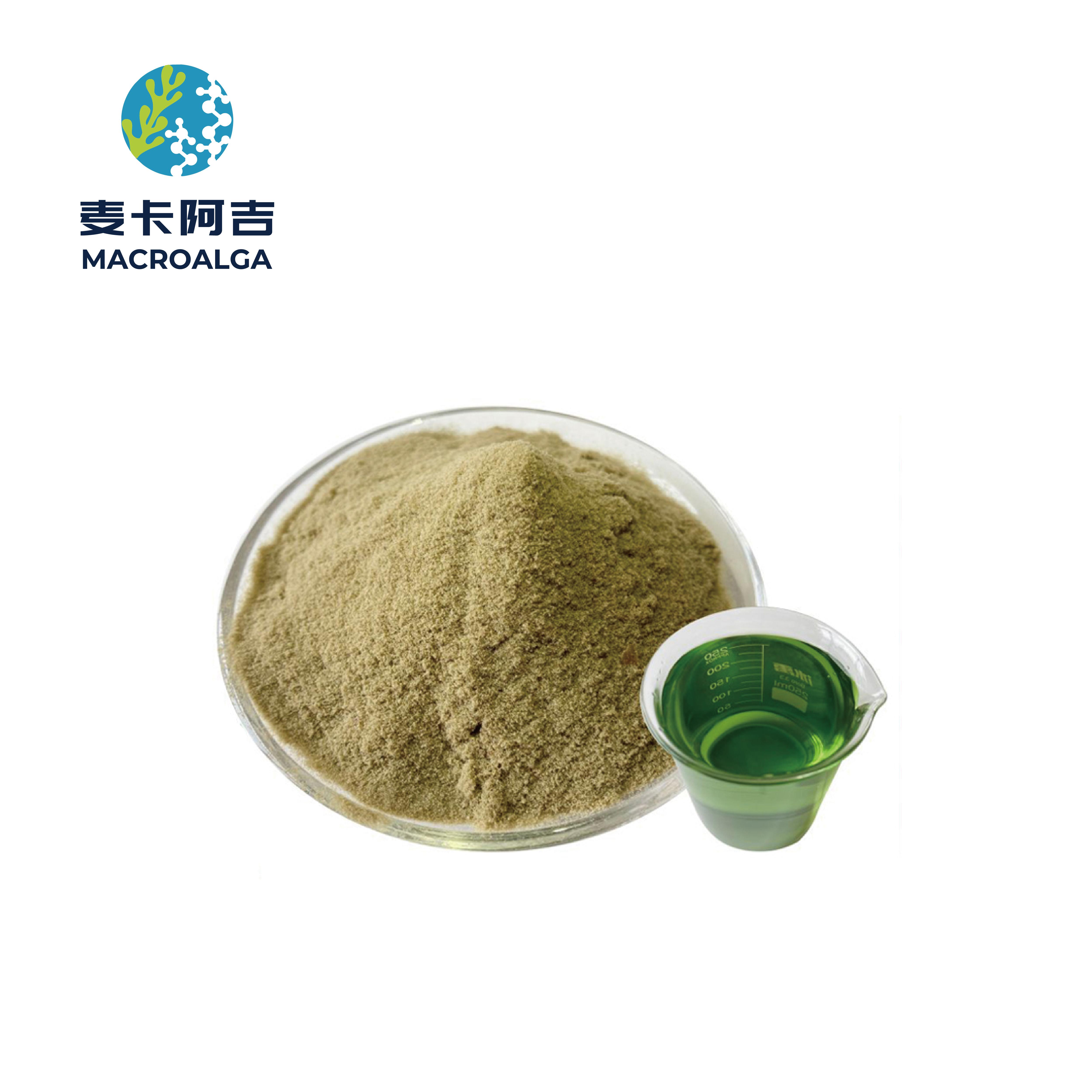 China Seaweed Fertilizer Ranking: Top Choices for Thriving Plants