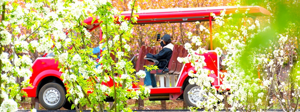 Visit Yushui Village: Discover Why It's Worth Your Time